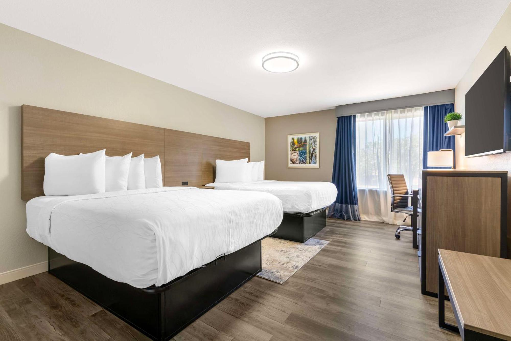Best Western Plus Lewisville Flower Mound Zewnętrze zdjęcie