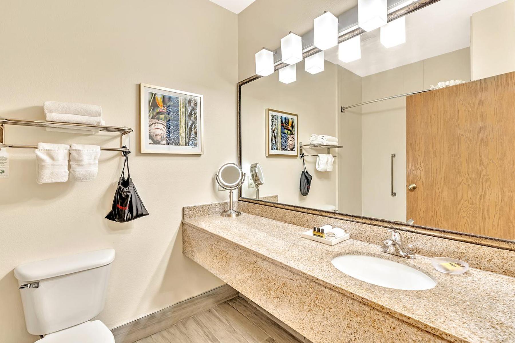 Best Western Plus Lewisville Flower Mound Pokój zdjęcie